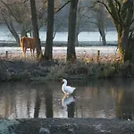Le De L Ourthe Feriehus *