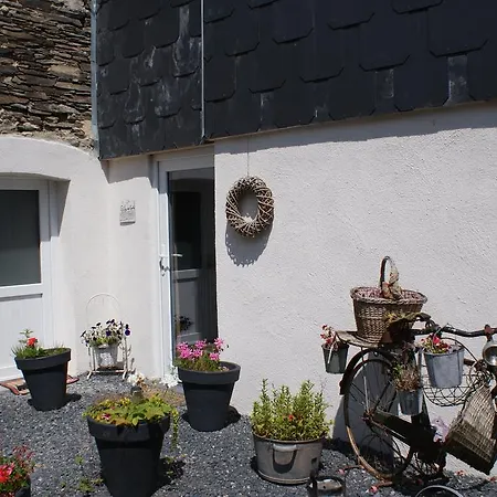 Dom wakacyjny Le De L Ourthe