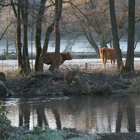 Le De L Ourthe Feriehus