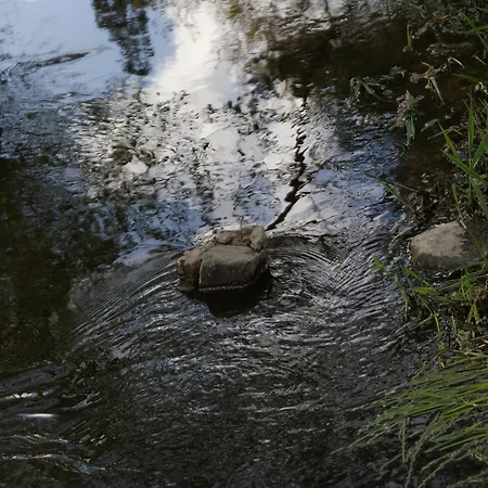 Le De L Ourthe Сasa de vacaciones
