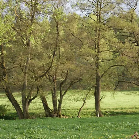 Le De L Ourthe Vakantiehuis *