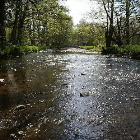 Le De L Ourthe Holiday home *