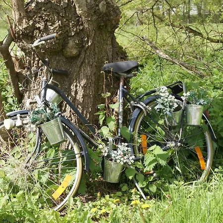 Le De L Ourthe Dom wakacyjny Ortheuville